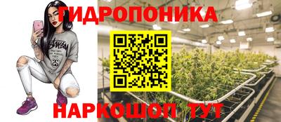 скорость Шебекино