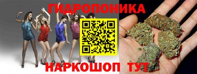 скорость Шебекино